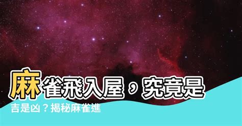 麻雀進屋|麻雀誤闖辦公室是吉兆？單位是不是要「火」？